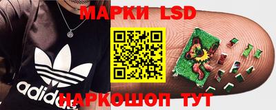 молекула духа Сланцы