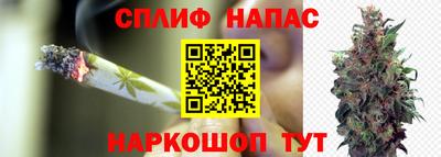 a pvp Славянск-на-Кубани