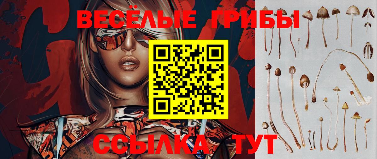 Острогожск  Галлюциногенные грибы мицелий  Вход с VPN 
